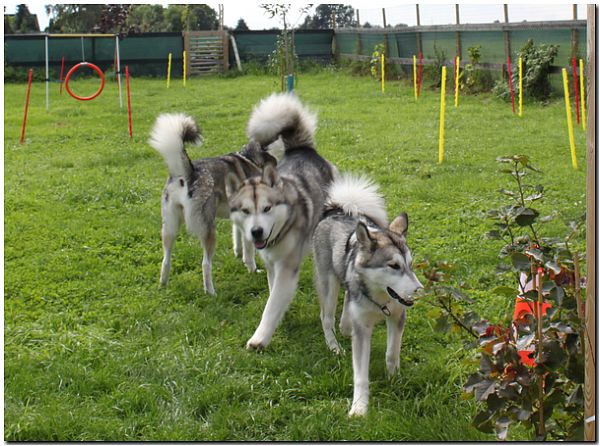 Besuch Nanooq 238.jpg